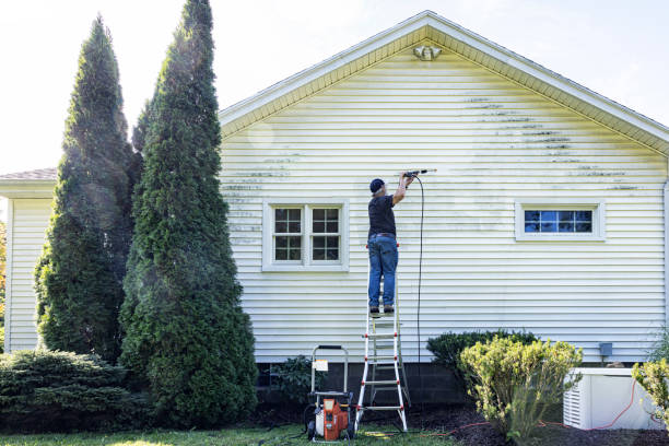 Best Graffiti Removal  in Sharpes, FL